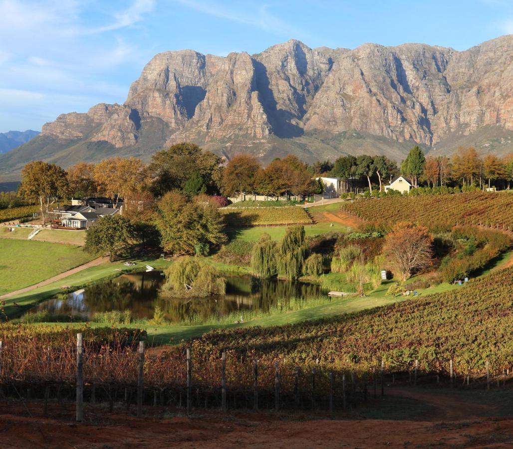 Alluvia Boutique Winery & Luxury Accommodation Stellenbosch Zewnętrze zdjęcie The Paarl Mountain Range