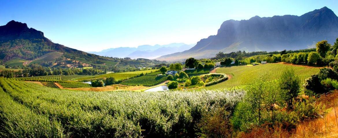 Alluvia Boutique Winery & Luxury Accommodation Stellenbosch Zewnętrze zdjęcie The Paarl Wine Route