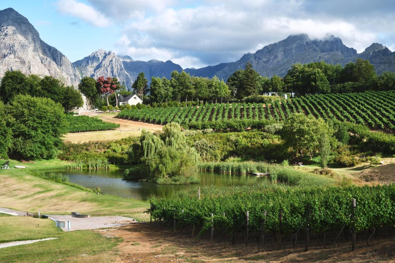 Alluvia Boutique Winery & Luxury Accommodation Stellenbosch Zewnętrze zdjęcie Wine estate in Stellenbosch