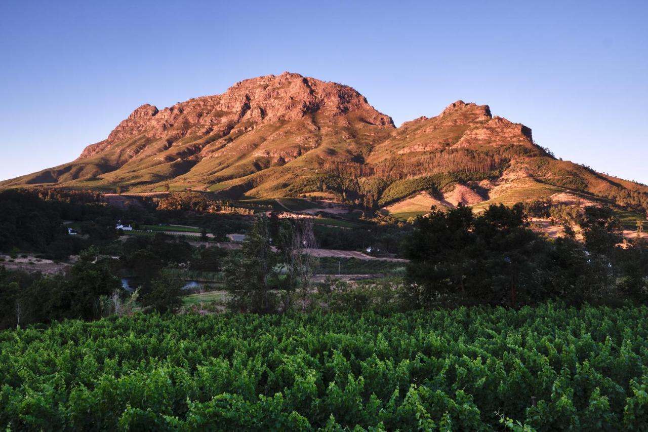 Alluvia Boutique Winery & Luxury Accommodation Stellenbosch Zewnętrze zdjęcie The Paarl Mountain