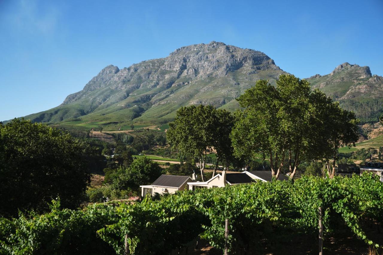 Alluvia Boutique Winery & Luxury Accommodation Stellenbosch Zewnętrze zdjęcie Wine estate in Stellenbosch