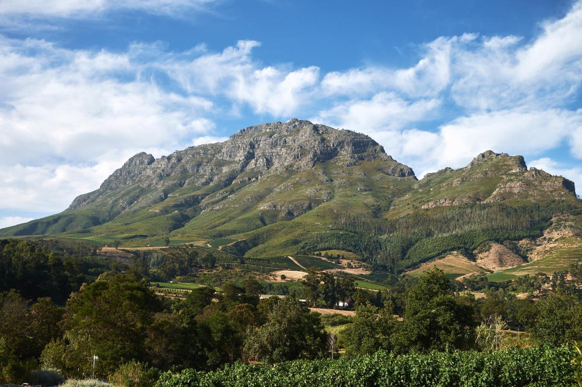 Alluvia Boutique Winery & Luxury Accommodation Stellenbosch Pokój zdjęcie The Helderberg