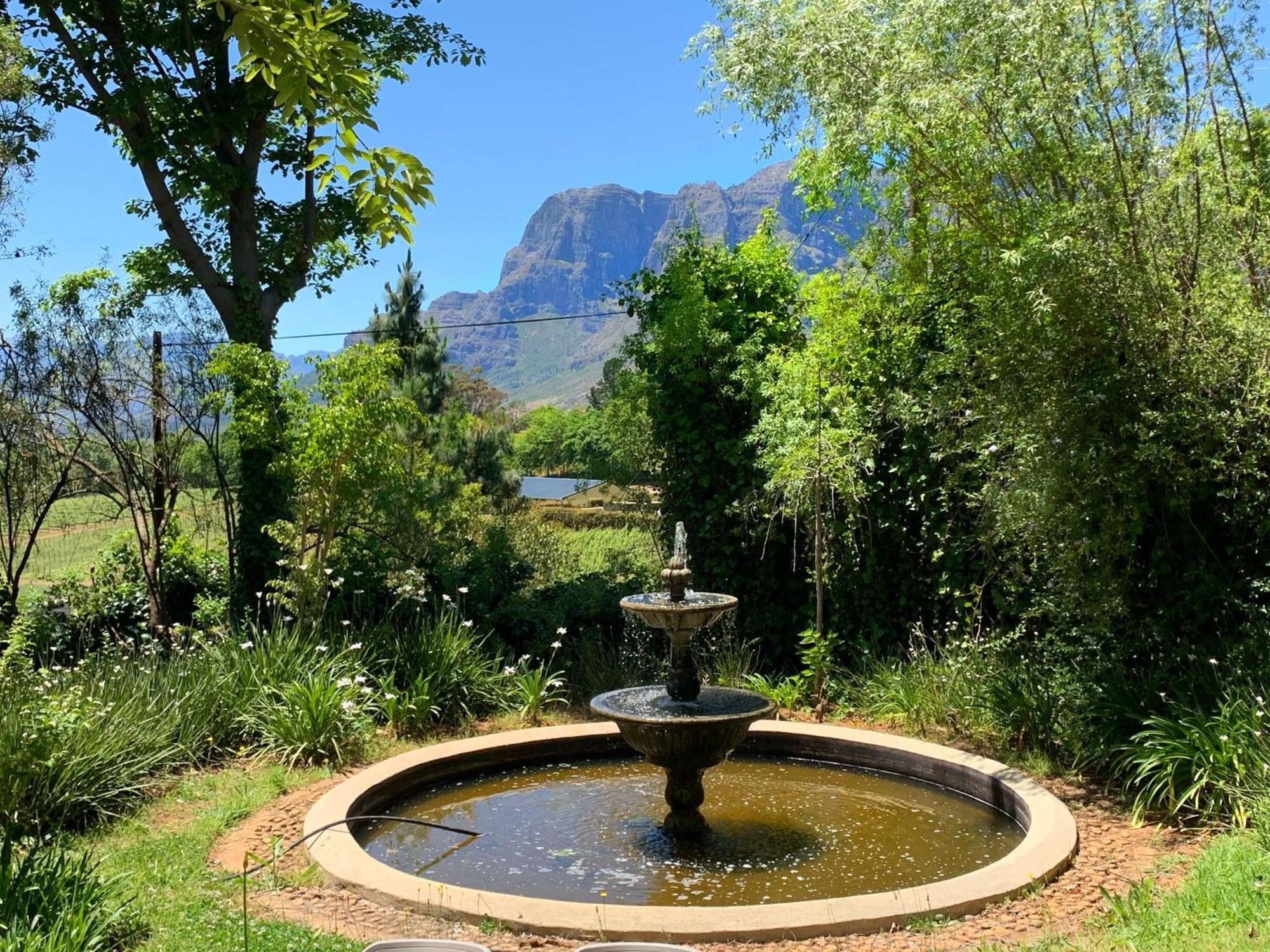 Alluvia Boutique Winery & Luxury Accommodation Stellenbosch Pokój zdjęcie Fountain at the entrance of the Tokai Arboretum